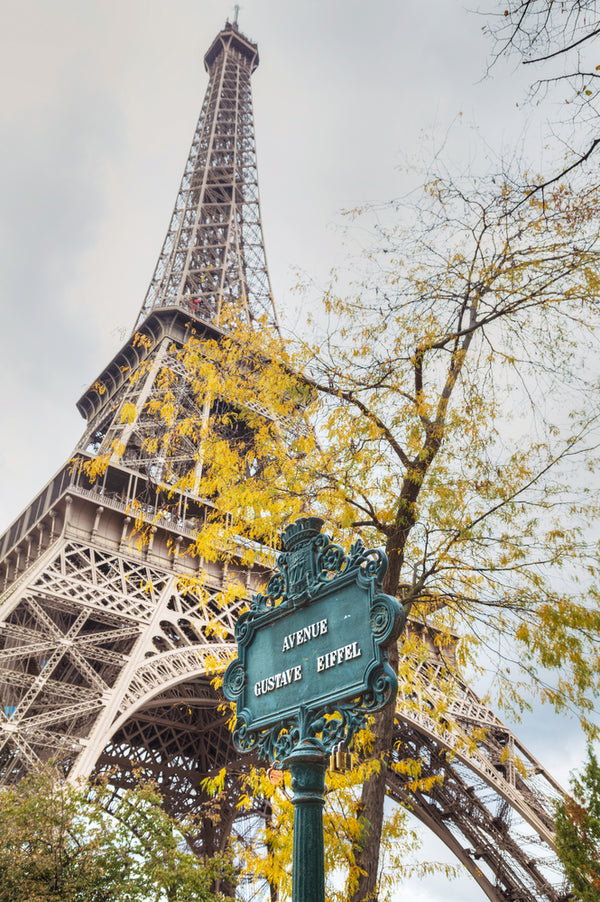 מבט על מגדל אייפל משדרת גוסטב בפריז